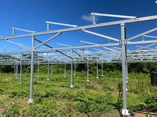Iaponia Project - Farm effusus