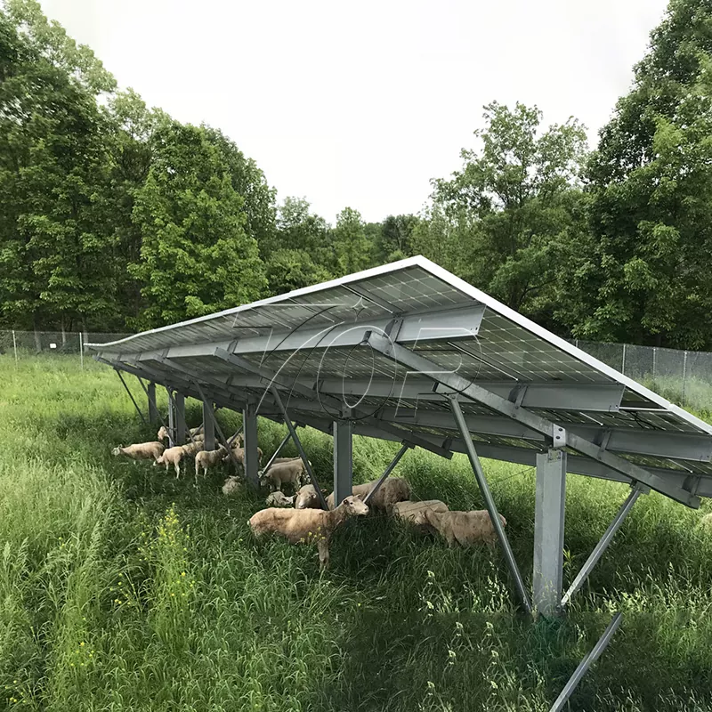 Solaris Power Farm